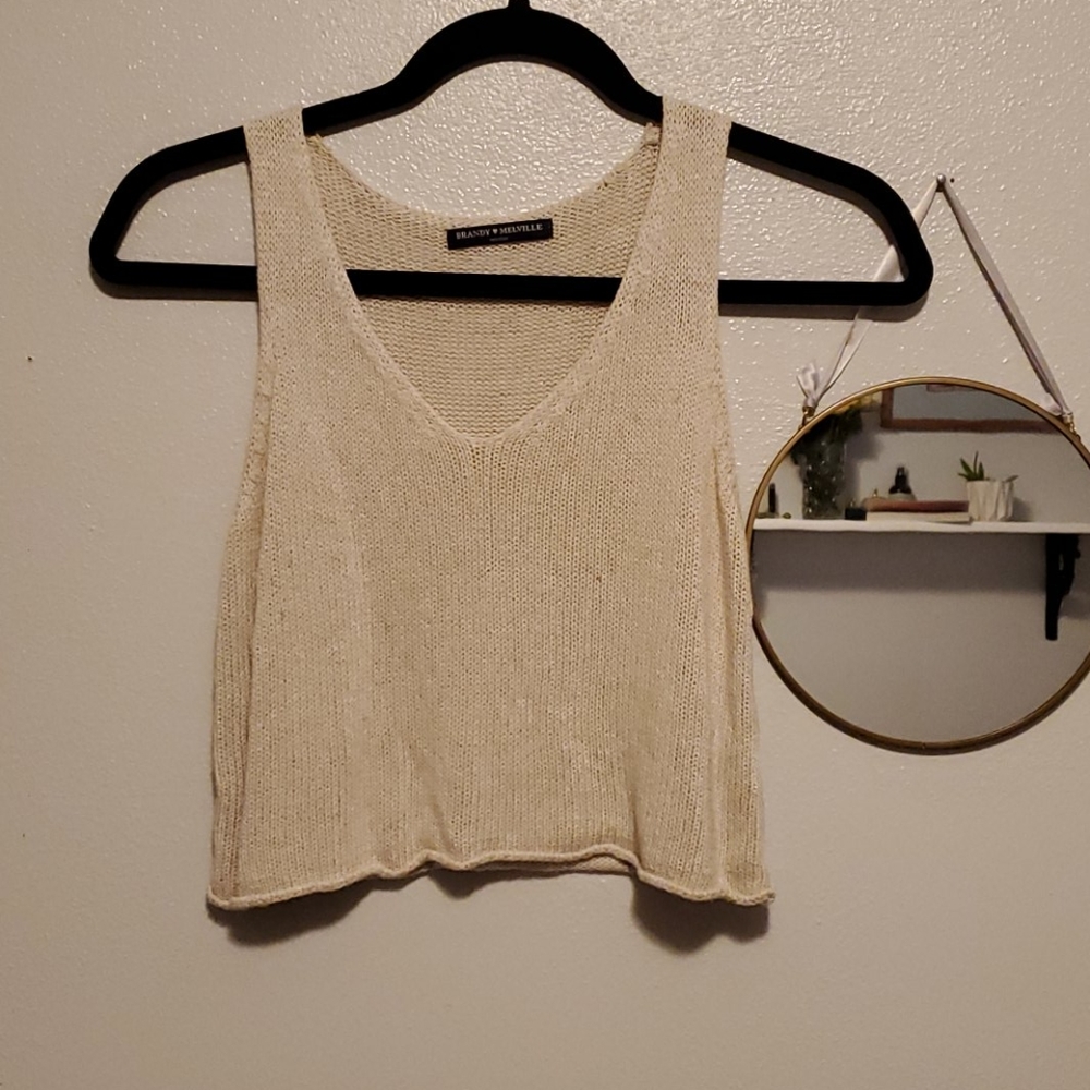 Brandy Melville crop top